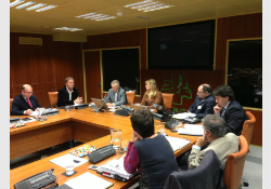 Intervención de los Grupos Parlamentarios