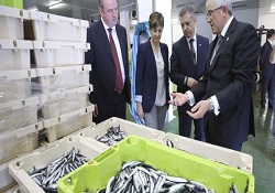 Creada la nueva Federación Nacional Vasca de Cofradías
