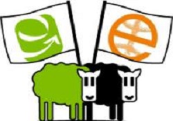 Se organiza el curso monográfico “Construyendo una Economía Justa y Solidaria”