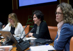 REAS Euskadi eta Gizatea, Eusko Legebiltzarrean erosketa politika publiko sozial eta inklusiboaren alde